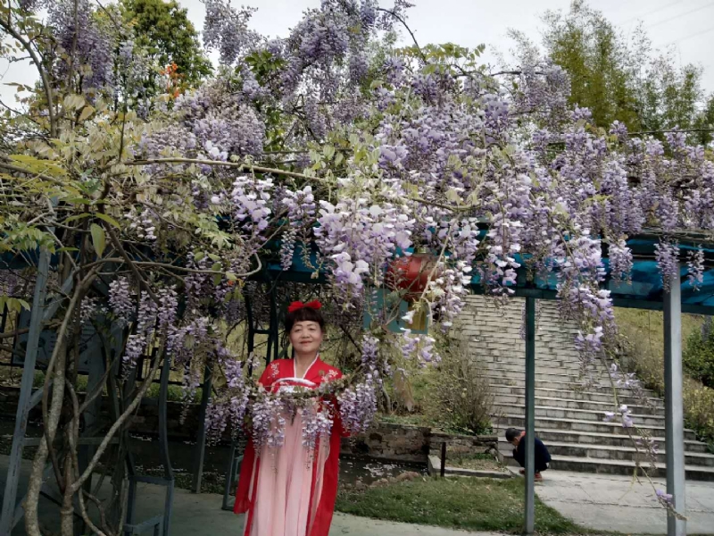 莉莉的第一张照片--厦门相亲服务中心