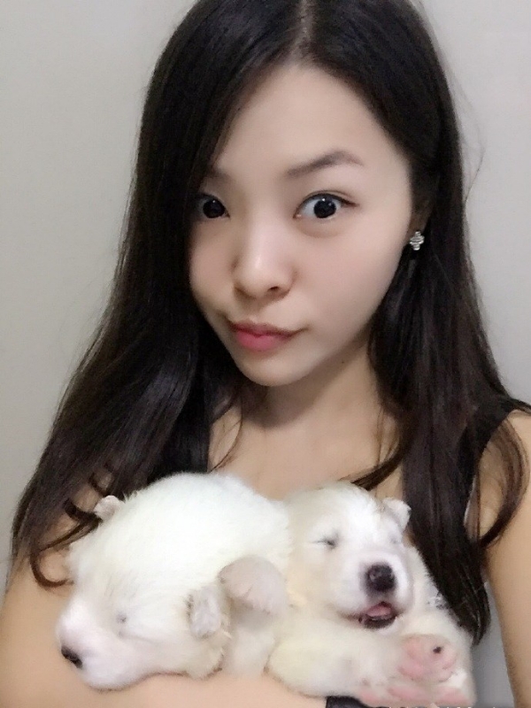 如果可以的第三张照片--厦门相亲服务中心