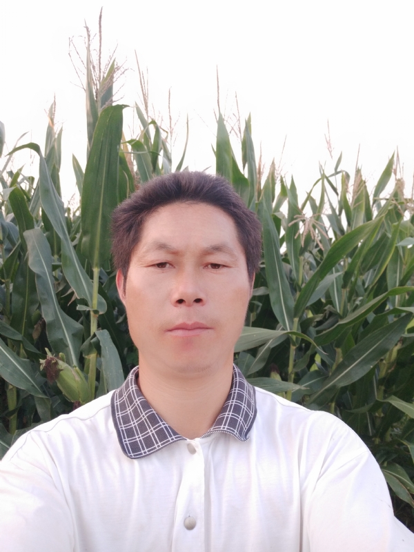 四海游龙的第一张照片--厦门相亲服务中心