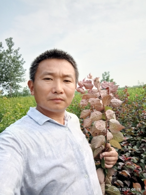 孩子爸的第一张照片--厦门相亲服务中心