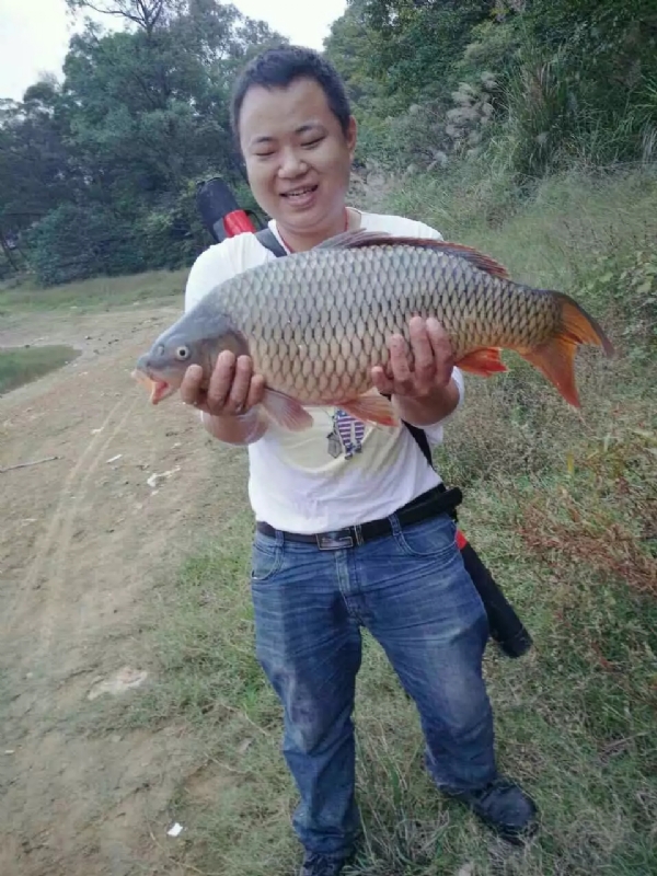 迷路的男人的第一张照片--厦门相亲服务中心