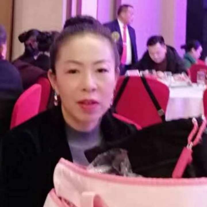 中秋桂花玉兔的第四张照片--厦门相亲服务中心