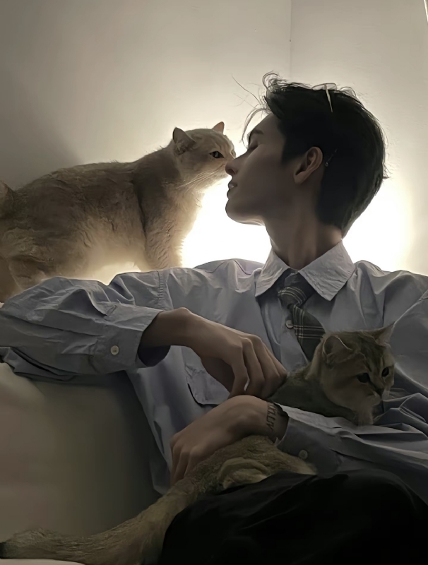 怪猫的第一张照片--厦门相亲服务中心